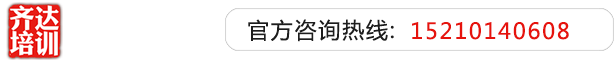 日屁视频齐达艺考文化课-艺术生文化课,艺术类文化课,艺考生文化课logo